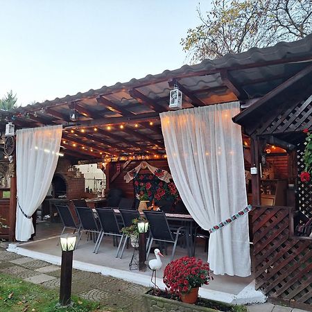 Pensiunea Rominvest Borşa Esterno foto
