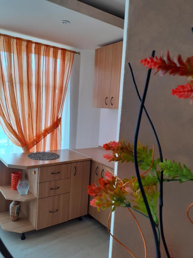 Pensiunea Rominvest Borşa Esterno foto