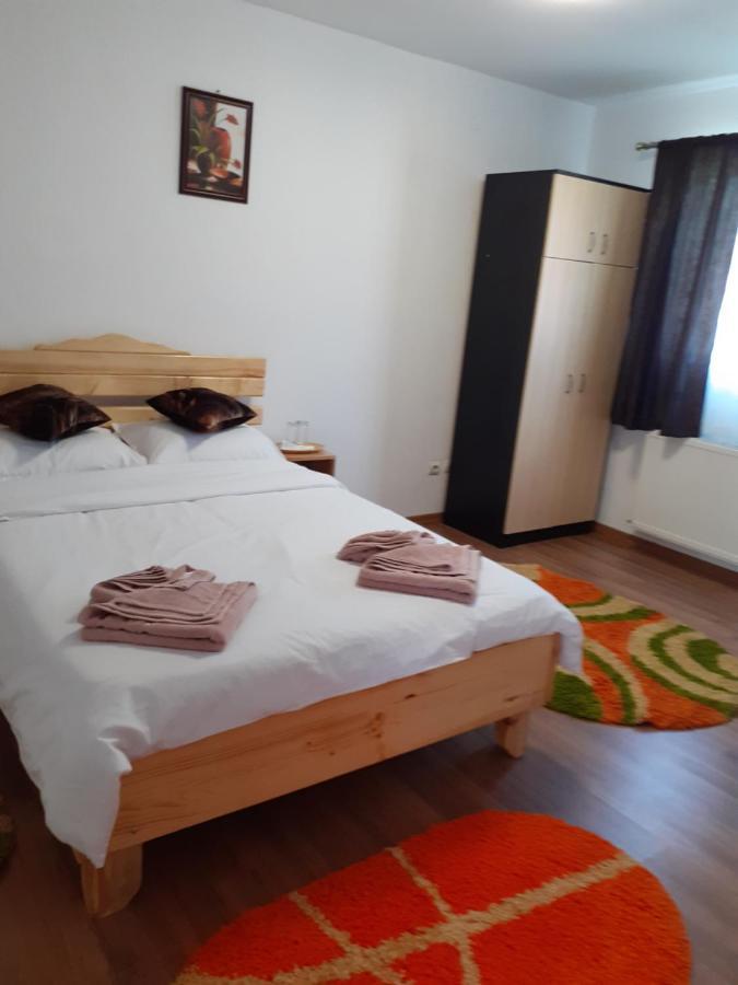 Pensiunea Rominvest Borşa Esterno foto