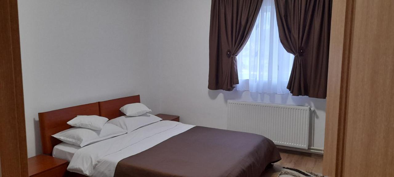 Pensiunea Rominvest Borşa Esterno foto